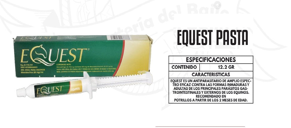Equest Pasta