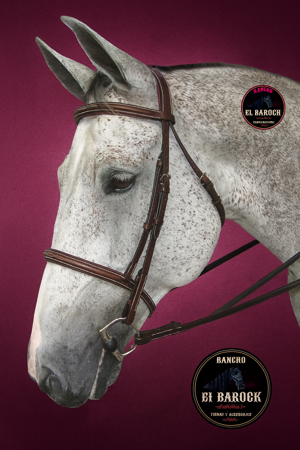 Brida Profesional Henri De Rivel Pro – Fancy Padded Stress Free (Color Nuez Australiana)