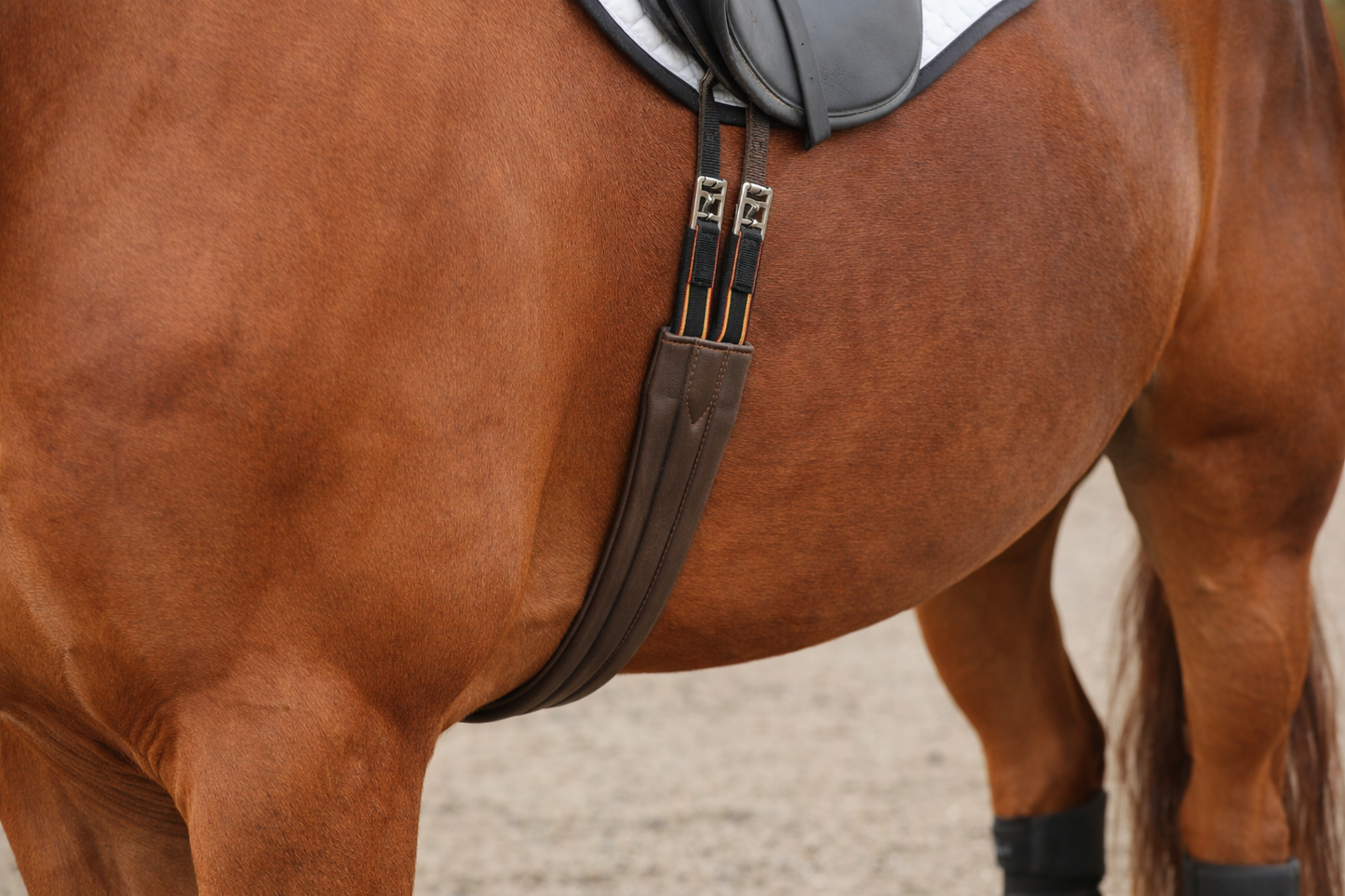 Cincha Anatómica para Silla Inglesa – Cuero Sintético Reforzado