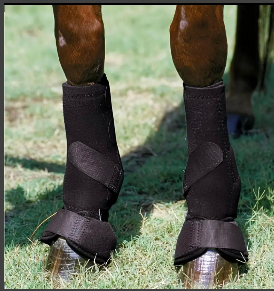 Botas de Protección Delanteras para Caballo – Cubre Pierna y Casco