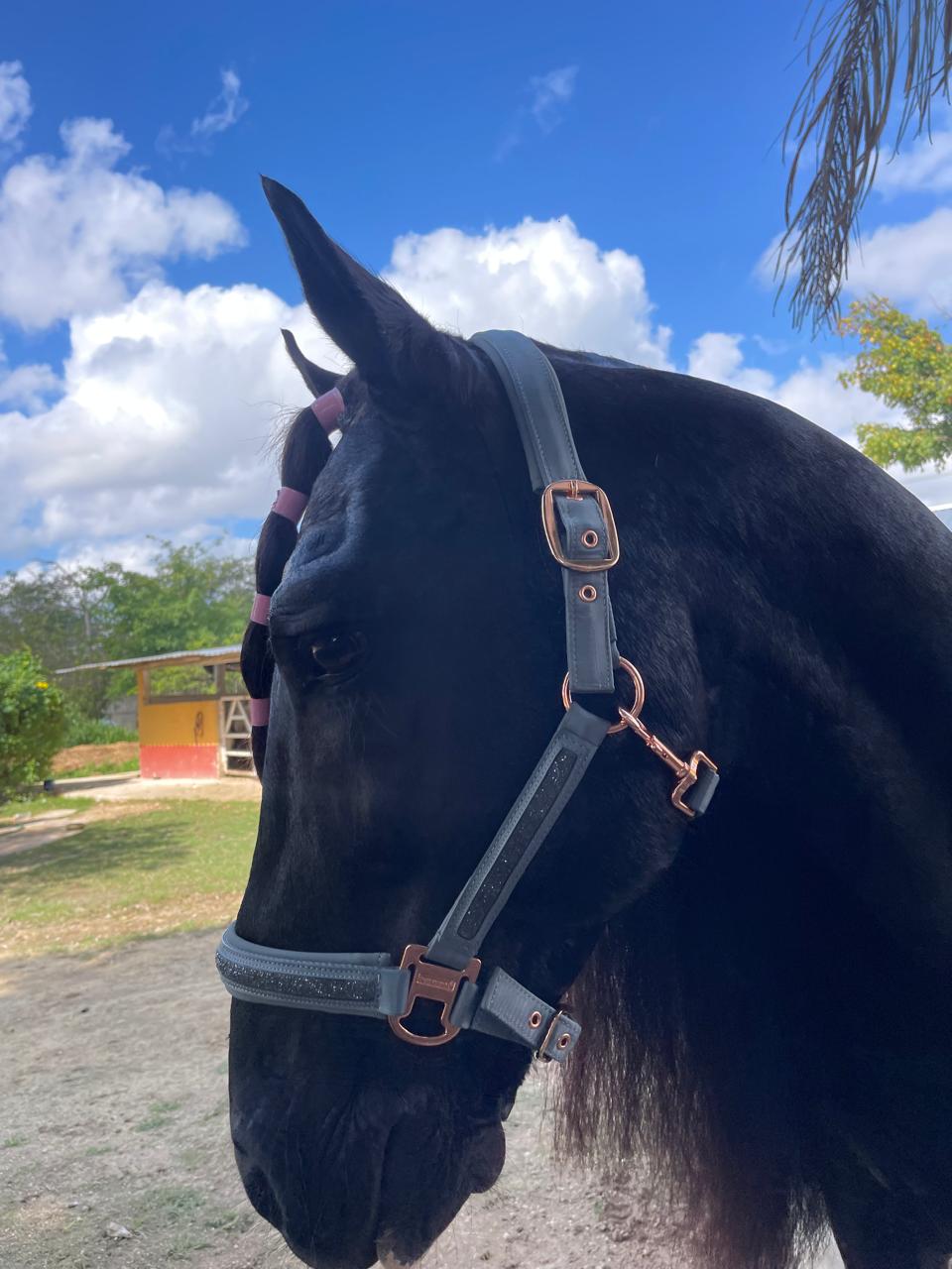 Almartigón para Caballo Gris con Herrajes Rose Gold y Detalles Brillantes