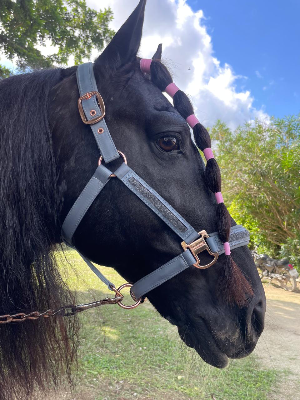 Almartigón para Caballo Gris con Herrajes Rose Gold y Detalles Brillantes