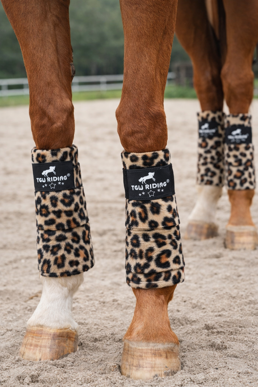 Kit de 4 bandas para caballo