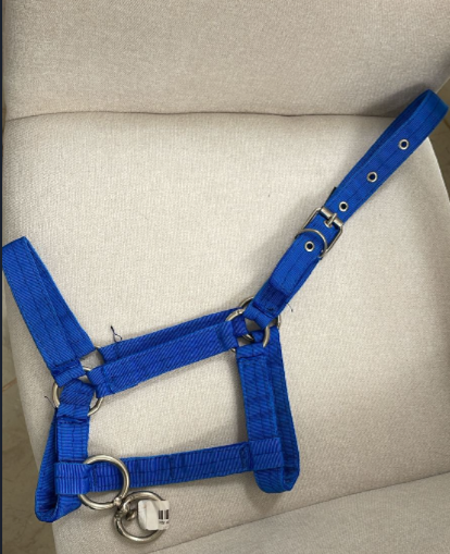 Almartigón Económico Azul – Tamaño Grande